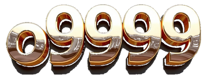o9999 logo